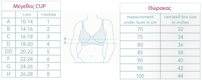νούμερο σουτιέν