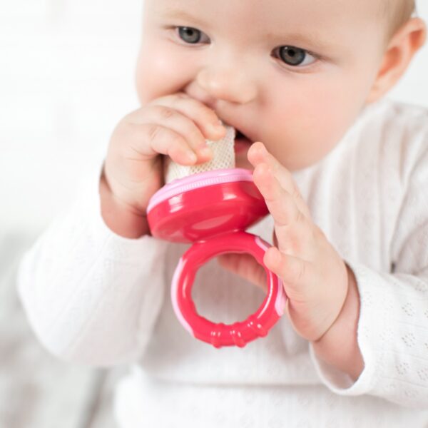 Δίχτυ Δοκιμής Φρέσκου Φαγητού