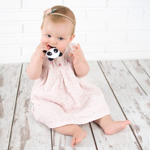 Μασητικό Σιλικόνης Panda