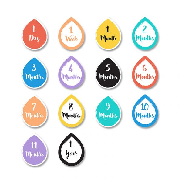 Lulujo Mουσελίνα Φωτογράφισης + Κάρτες – A Dream Come True