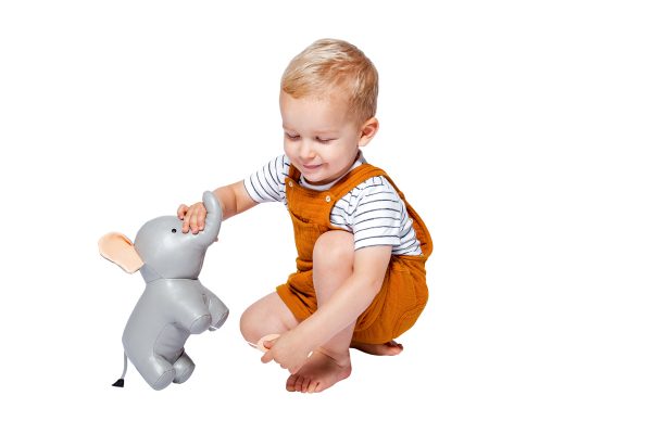 Βίνσεντ, ο Ελέφαντας