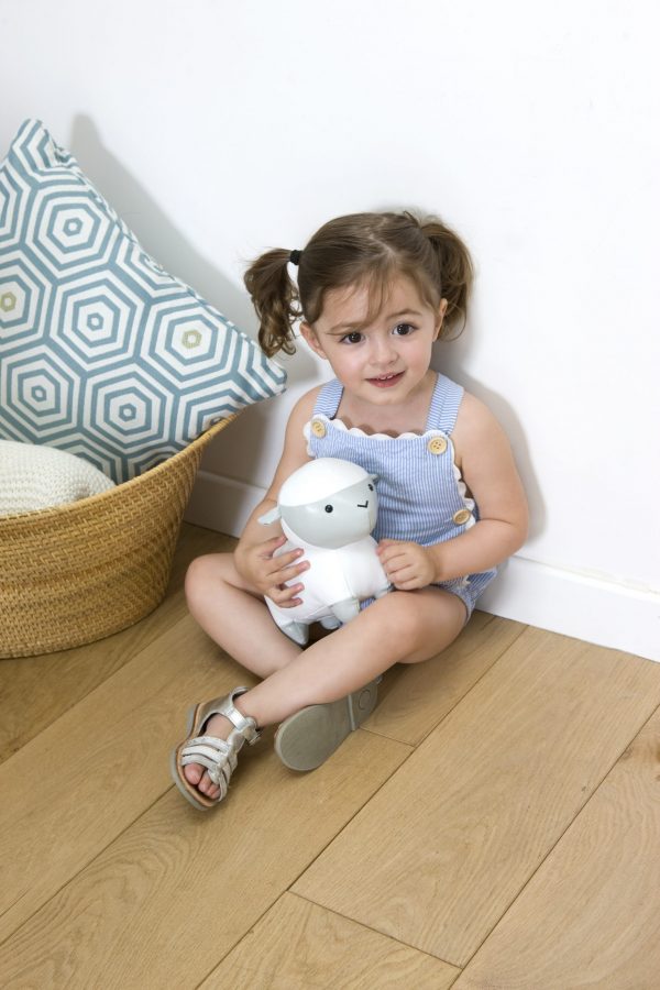 Σιμόν, το Προβατάκι