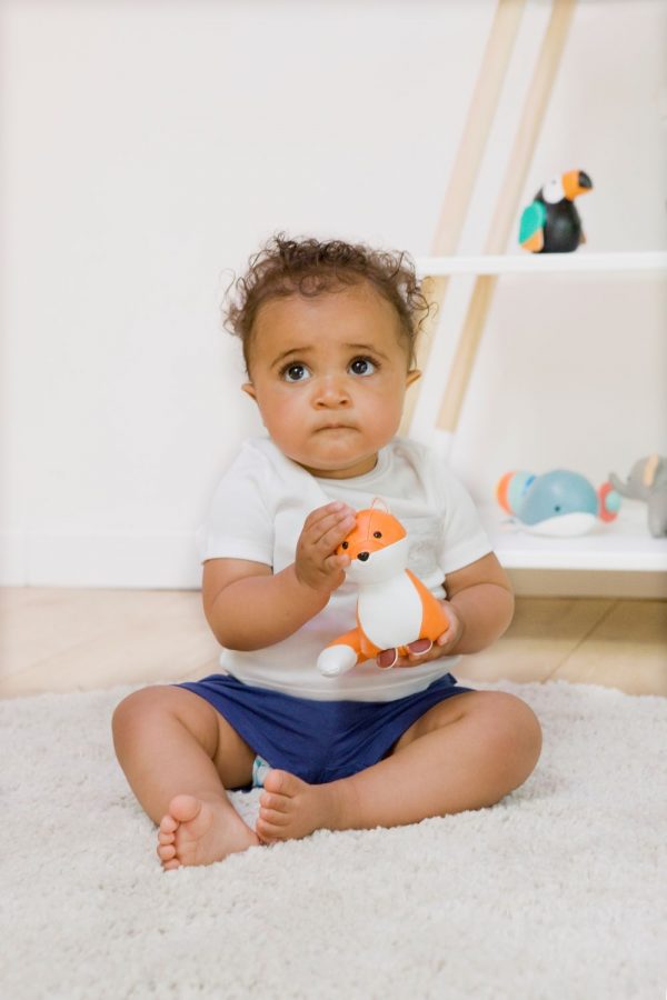 Ρίτσαρντ, η Αλεπού