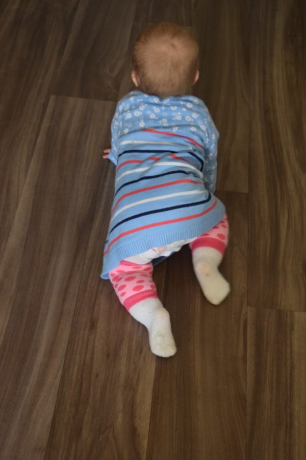 Plod Ons - Επιγονατίδες για μπουσούλημα