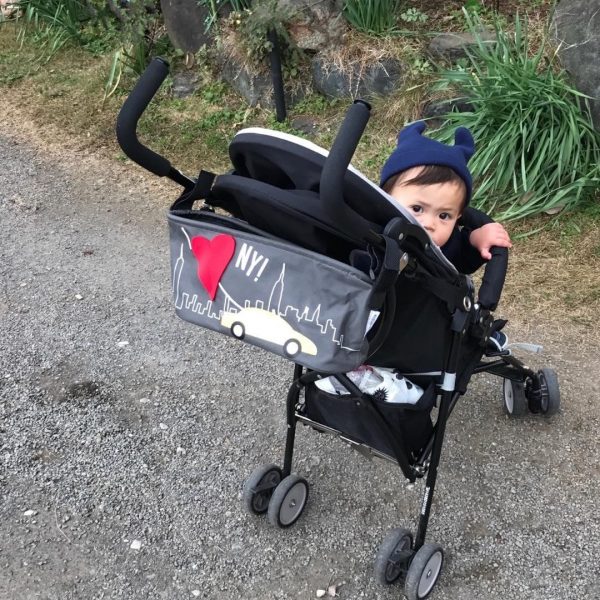 Οργανωτής Καροτσιού Choopie NY City