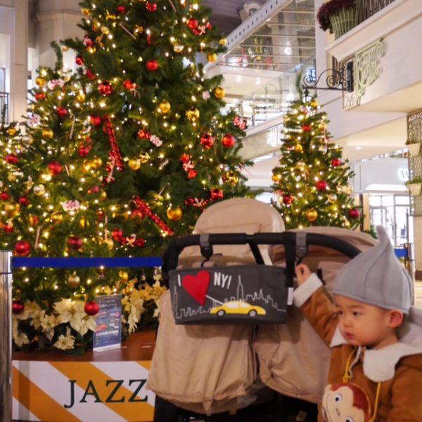 Οργανωτής Καροτσιού Choopie NY City