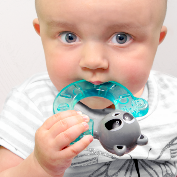 Bbluv Gumi - Μασητικό Νερού