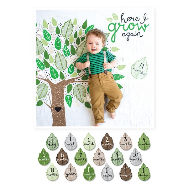 Lulujo Mουσελίνα Φωτογράφισης + Κάρτες – Here I Grow Again