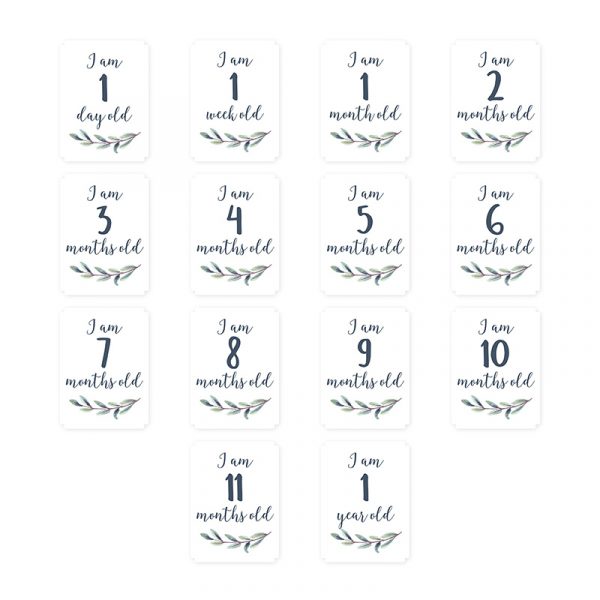 Mουσελίνα Φωτογράφισης + Κάρτες- Hello World