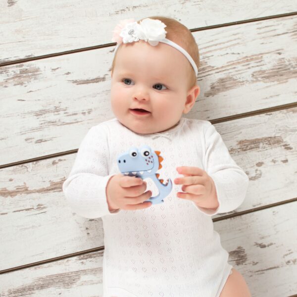 Μασητικο Σιλικονης Dino