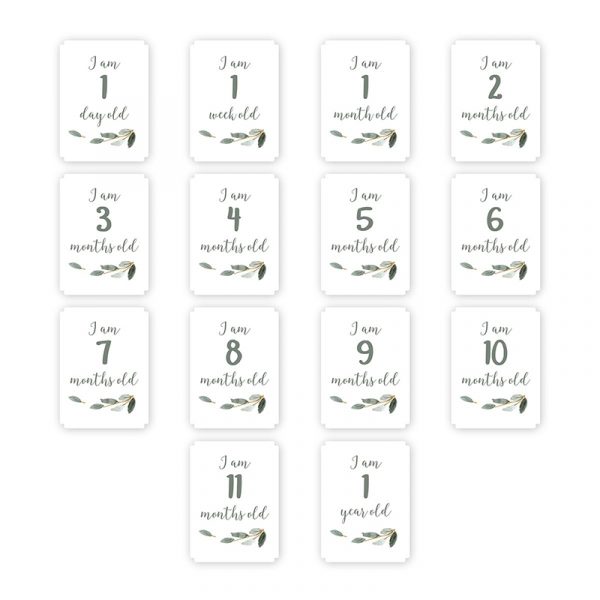 Lulujo Mουσελίνα Φωτογράφισης + Κάρτες – All you need is love