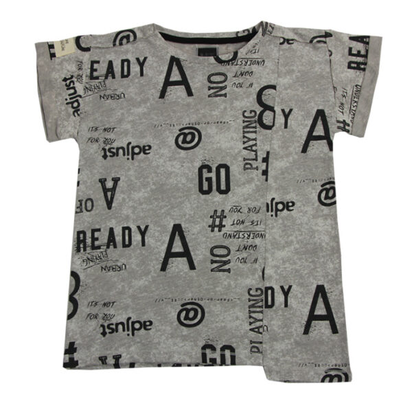 Minene Toddler Boy T-Shirt Dark Grey Printed