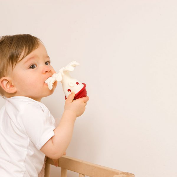 3D Χταπόδι Μασητικό