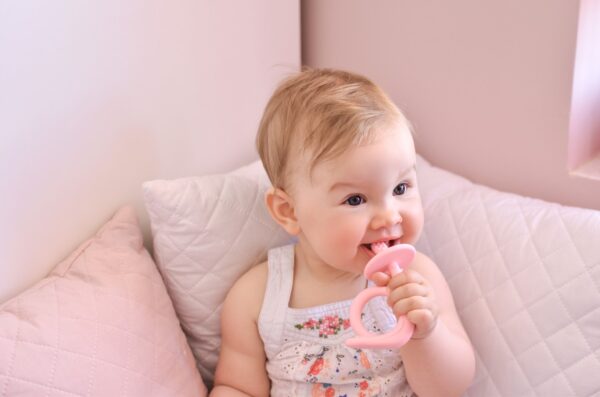 Μασητικό Σαλιγκάρι Ροζ