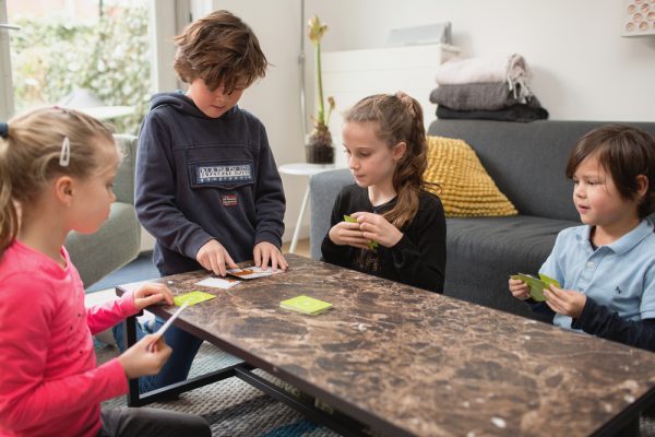 BS Toys – Ζωάκια και Φωνές (Με κάρτες)