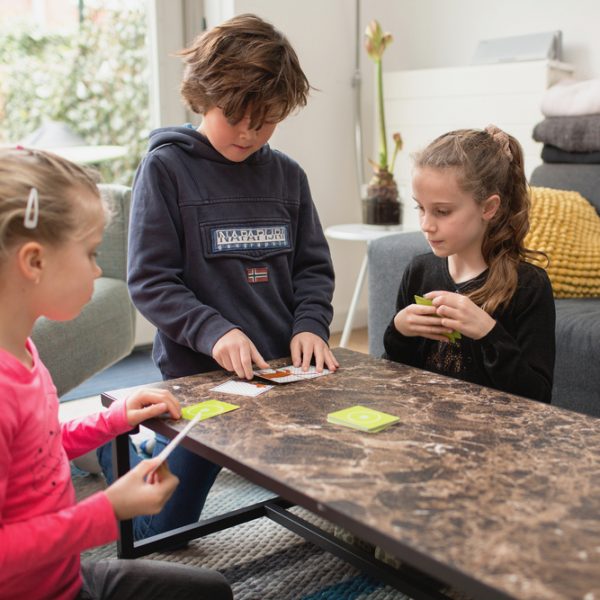 BS Toys – Ζωάκια και Φωνές (Με κάρτες)