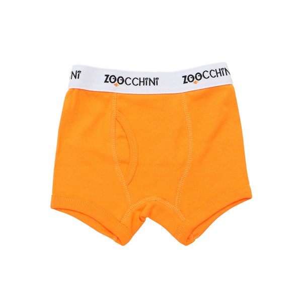 100% οργανικά βαμβακερά Boxer Shorts 3 pc set -Space Force