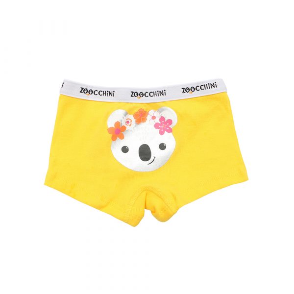 100% οργανικά βαμβακερά Hipsters 3 pc set -Flower Power