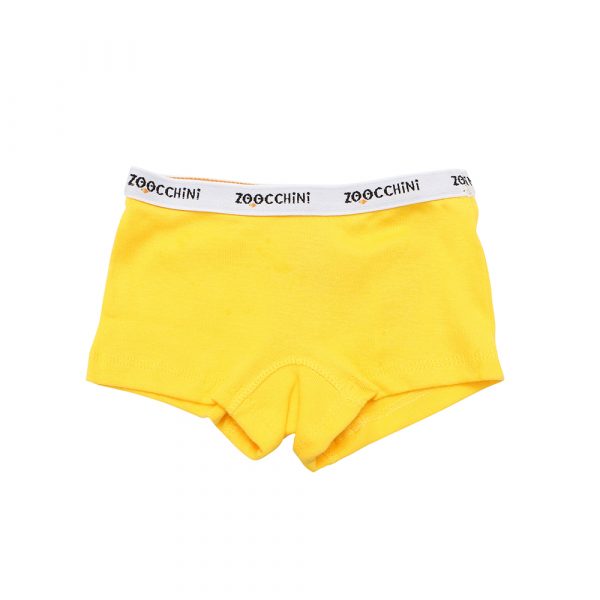 100% οργανικά βαμβακερά Hipsters 3 pc set -Flower Power