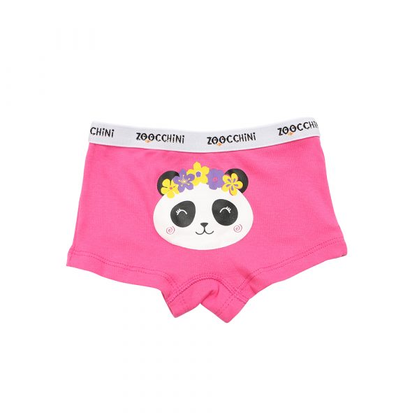 100% οργανικά βαμβακερά Hipsters 3 pc set -Flower Power