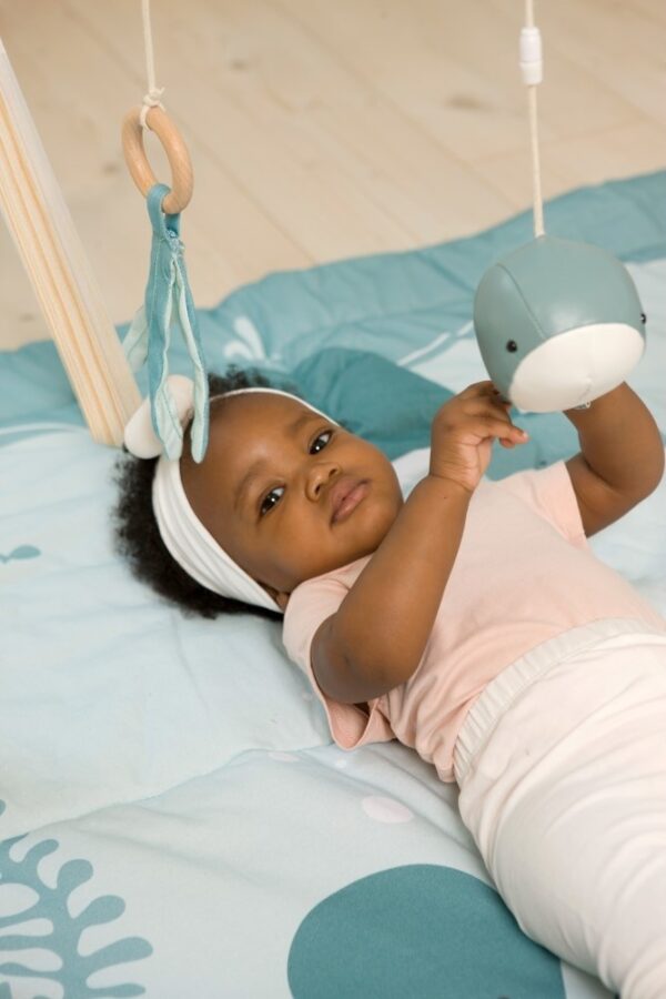 Ξύλινο Γυμναστήριο Ocean