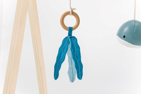 Ξύλινο Γυμναστήριο Ocean