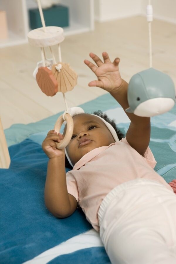 Ξύλινο Γυμναστήριο Ocean