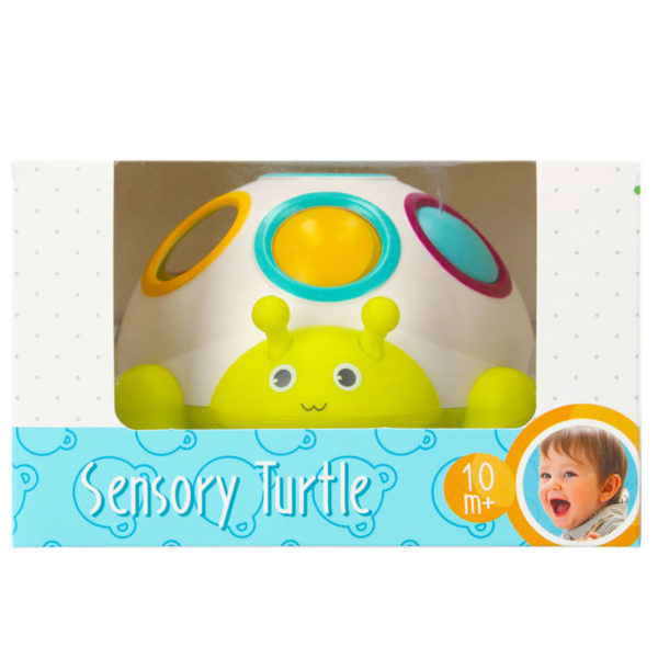 492756-β Χελώνα Sensory