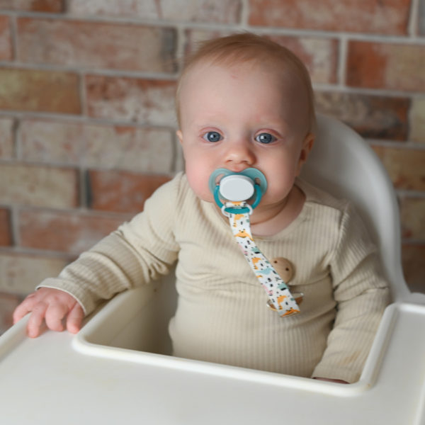 Κλιπ Πιπίλας Δεινοσαυράκια