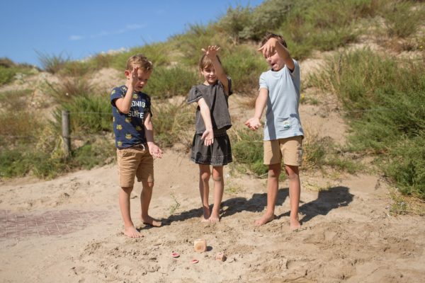 Bs Toys – Παιχνίδι Μίμησης Birds in action