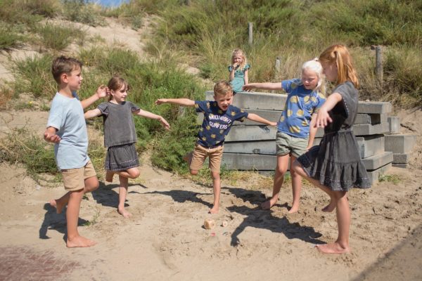 Bs Toys – Παιχνίδι Μίμησης Birds in action