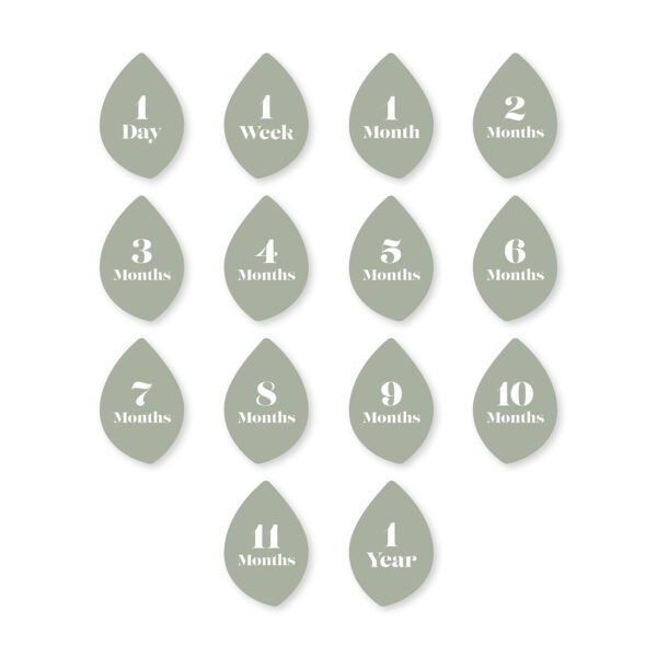 Lulujo  Mουσελίνα Φωτογράφισης + Κάρτες- Sweet as Peach