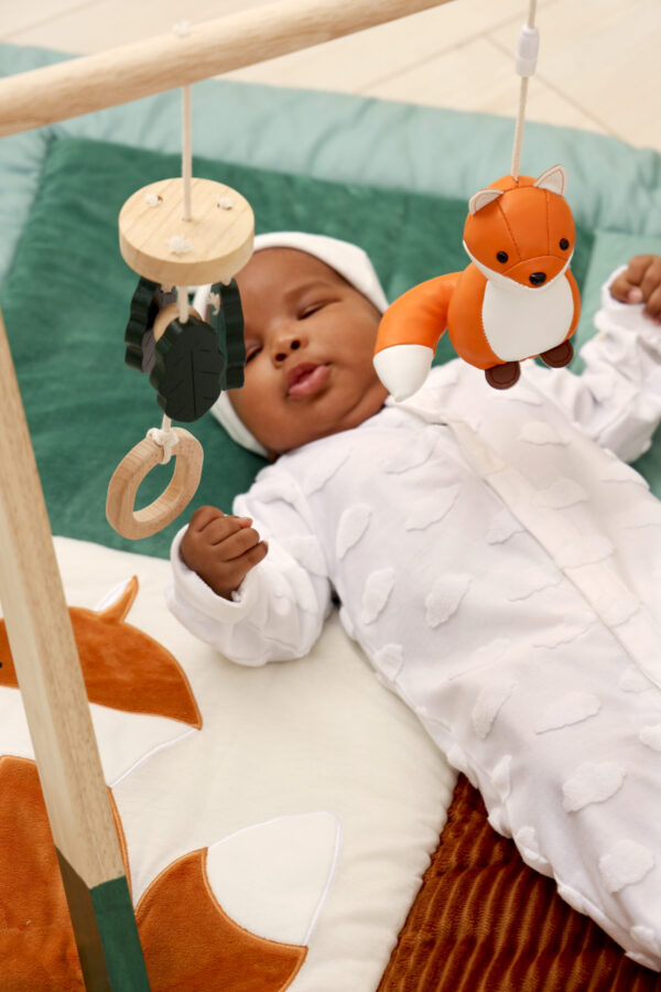 Ξύλινο Γυμναστήριο Forest