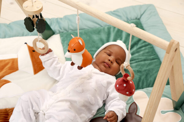 Ξύλινο Γυμναστήριο Forest