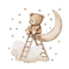 Sipo wall stickers Teddy bear on a ladder