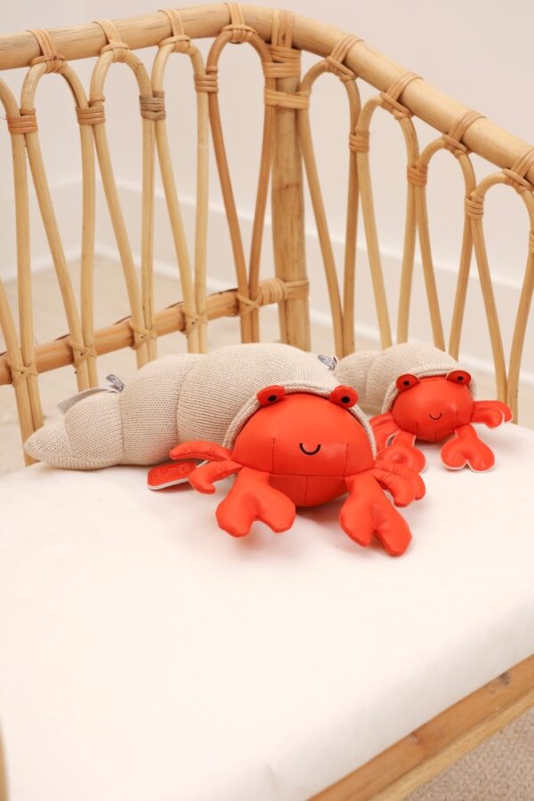 Musical Animals - Brigitte the Ermit Crab