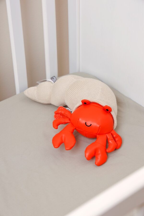 Musical Animals - Brigitte the Ermit Crab