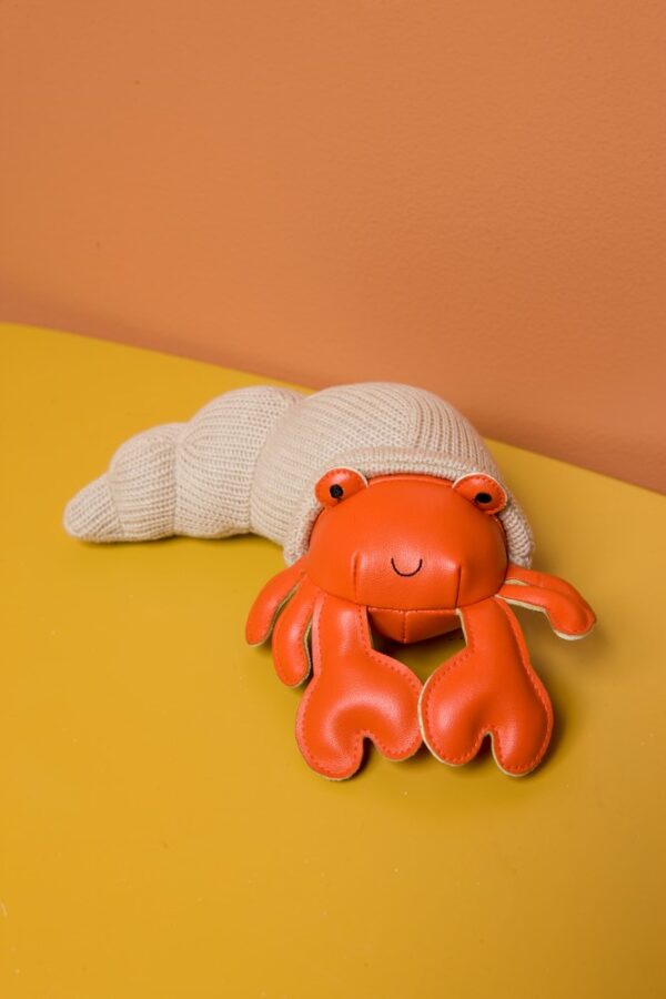 TINY FRIENDS - Brigitte the Hermit Crab