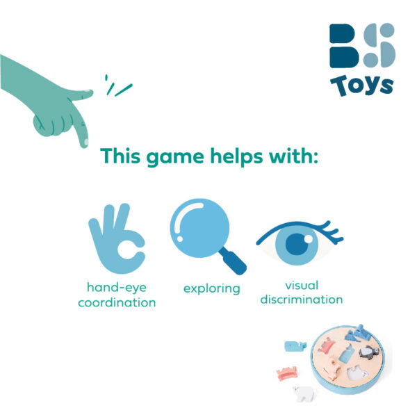 BS Toys - Ταξινομητής Σχημάτων