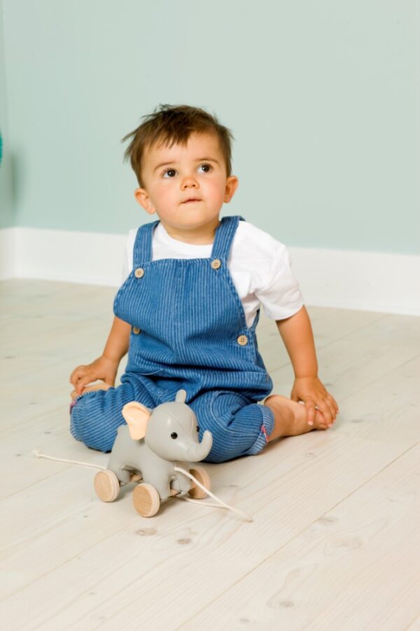 Vincent the pull along elephant