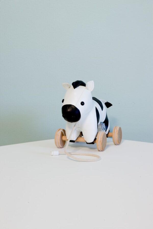 Robert the pull along zebra