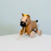 Charles the pull along horse