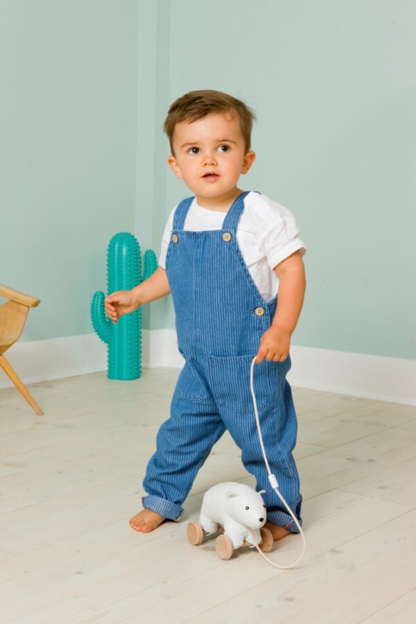 Nathan the pull along polar bear