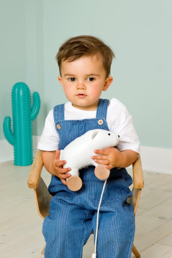 Nathan the pull along polar bear