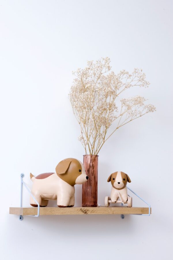 Adrien the pull along dog