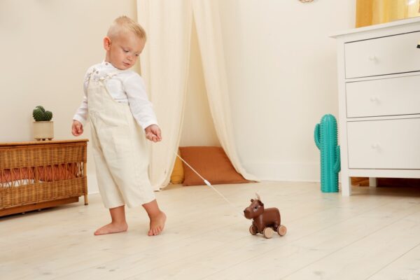 Bruce the pull along Moose