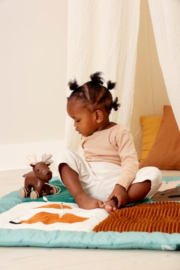 Bruce the pull along Moose