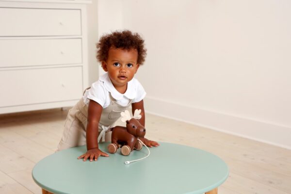 Bruce the pull along Moose