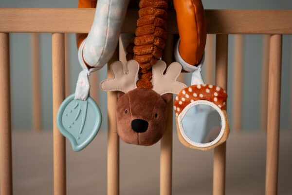 Activity Spiral Forest