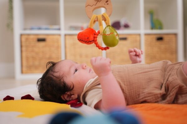 Παιχνίδι Δραστηριοτήτων 0+ Dino Friends